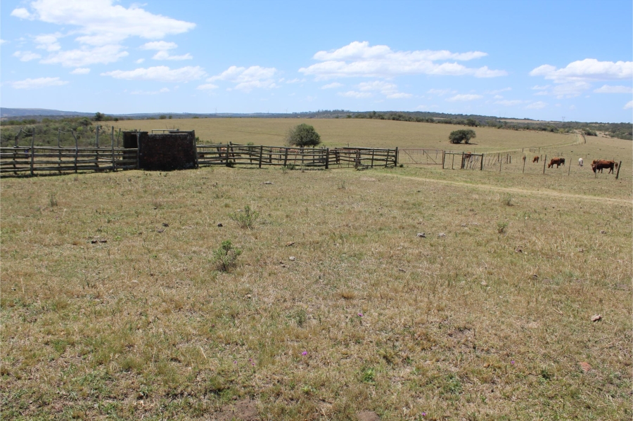 5 Bedroom Property for Sale in Mooiplaas Eastern Cape